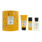 Set Acqua di Parma: Colonia, Eau De Cologne, For Men, 100 ml + Colonia Nomade, Cleansing, Shower Gel, 75 ml + Colonia Nomade, Anti-Sweat, Deodorant Spray, For Men, 50 ml
